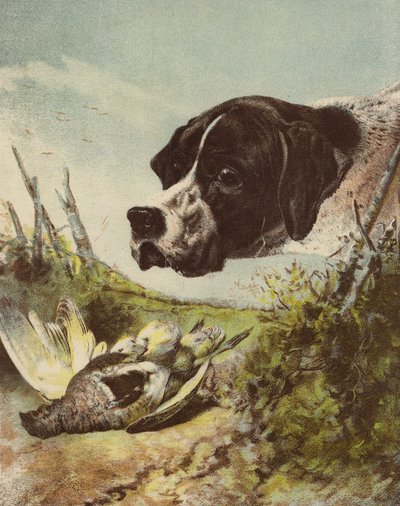 Pointer and Partridge by English School